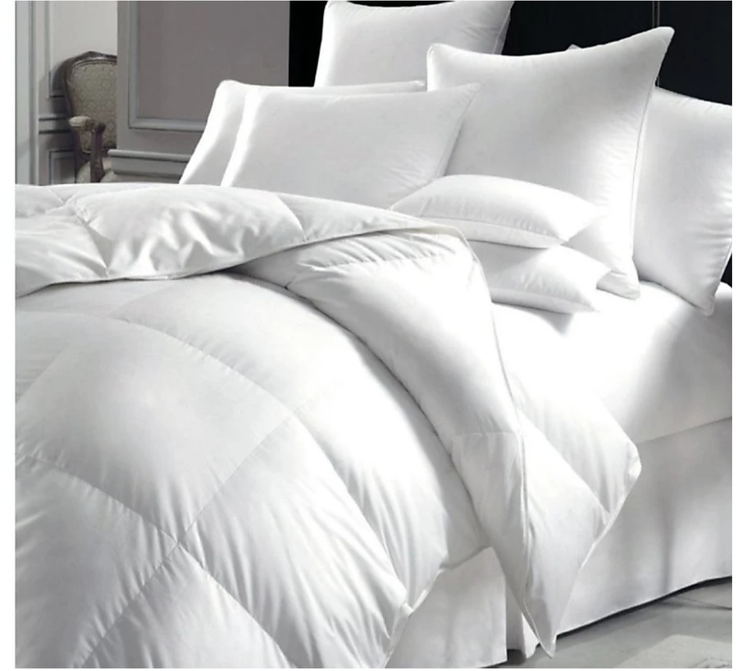 WhatsApp Image 2025-05-09 at 3.58.27 PM (1).jpeg